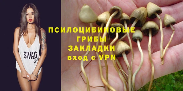 мет Кропоткин